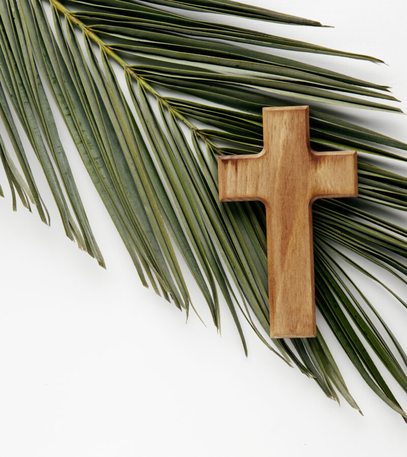 Niedziela Palmowa 29.03.2026r.